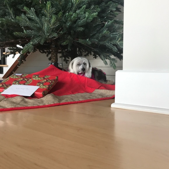 Meet your Posher, Kathy - Picture 10 of 16